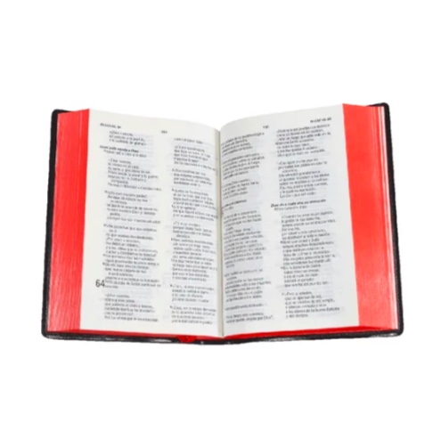 BIBLIA CHICA LETRA GRANDE VINIL NEGRO - 3