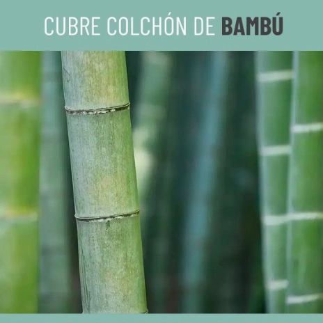 CUBRE COLCHON PROTECTOR IMPERMEABLE BAMBU KING - 3
