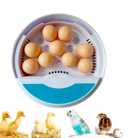INCUBADORA PARA 9 A 13 HUEVOS - 1