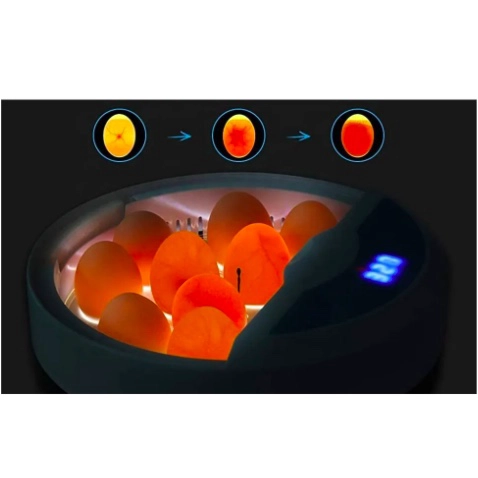 INCUBADORA PARA 9 A 13 HUEVOS - 2