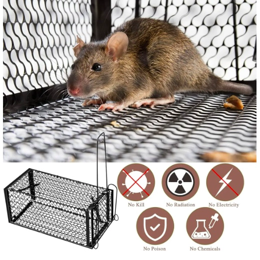 PAQUETE 2 TRAMPAS PARA RATAS HUMANITARIAS - 4