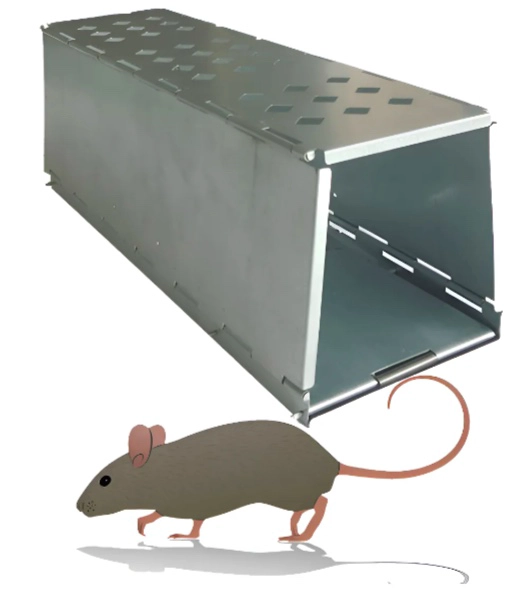 JAULA TRAMPA PLEGABLE  RATONES - 1
