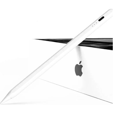 LAPIZ PROFESIONAL (2GEN) PARA IPAD MINI 5 7.9 - 1