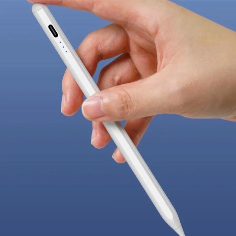 LAPIZ PROFESIONAL (2GEN) PARA IPAD MINI 6 8.3 - 5