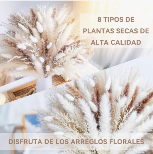 96 PCS RAMO DE FLORES SECAS - 5