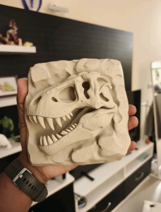 CUADRO RELIEVE CRANEO T-REX FOSIL - 2