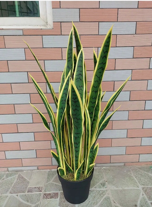 PLANTA ARTIFICIAL LENGUA DE SUEGRA - 6