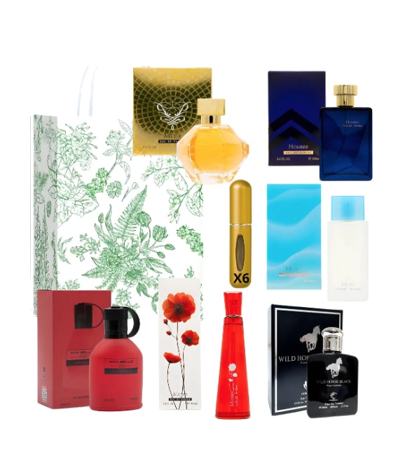 KIT X6 PERFUMES ALTERNATIVOS - 1