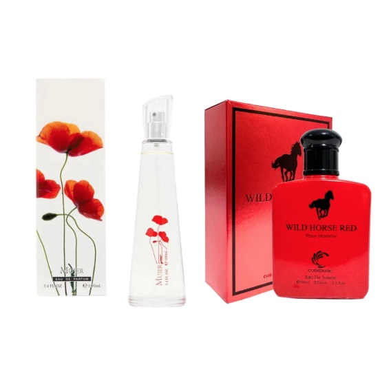 KIT X6 PERFUMES ALTERNATIVOS - 4