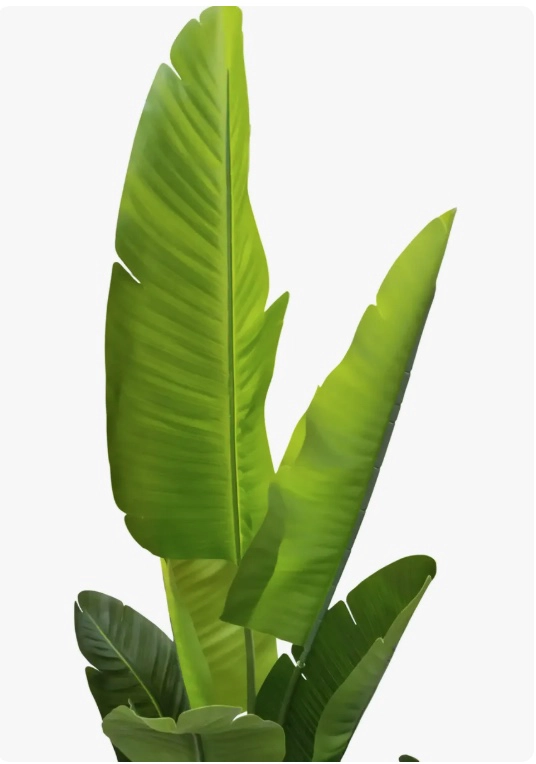 PLANTA ARTIFICIAL DE AVE DEL PARAISO - 5
