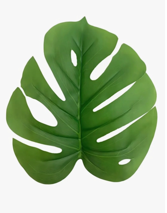 PLANTA ARTIFICIAL HOJA DE TORTUGA - 6