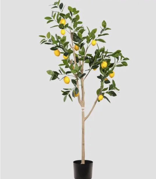 LIMONERO LIMON PLANTA ARTIFICIAL - 1