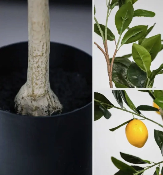 LIMONERO LIMON PLANTA ARTIFICIAL - 2