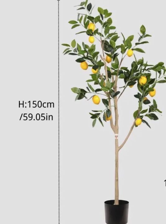 LIMONERO LIMON PLANTA ARTIFICIAL - 3
