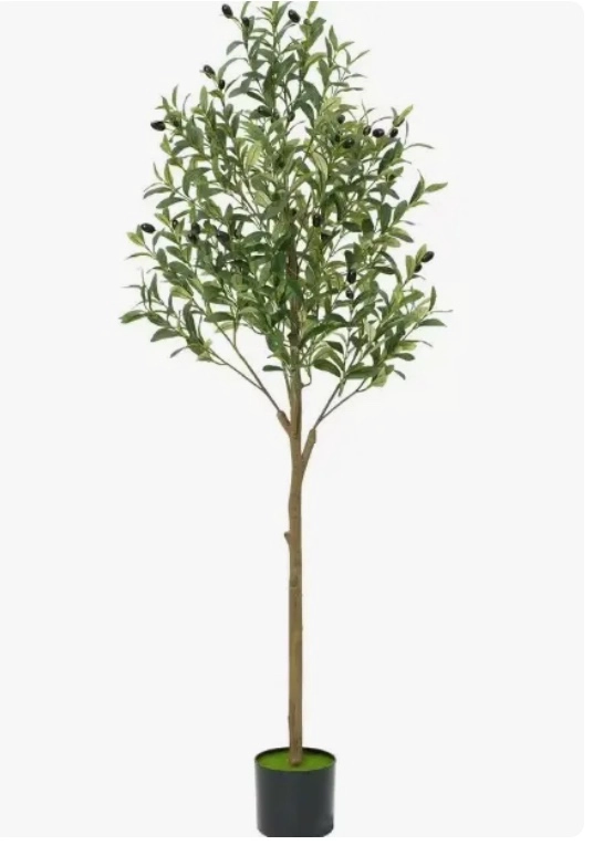 OLIVO ARTIFICIAL - 1