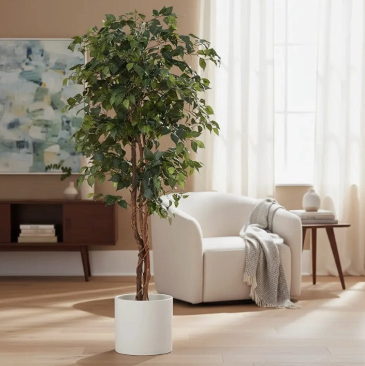 PLANTA ARTIFICIAL FICUS PREMIUM - 1