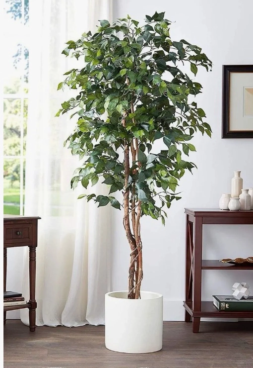 PLANTA ARTIFICIAL FICUS PREMIUM - 3
