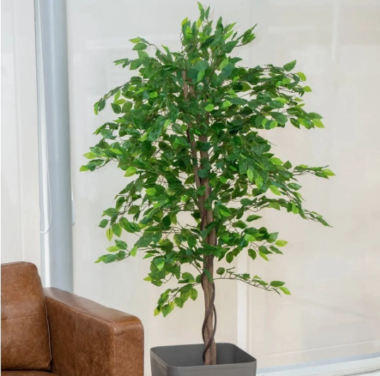 PLANTA ARTIFICIAL FICUS PREMIUM - 4
