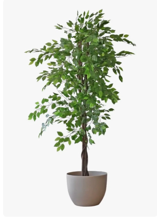 PLANTA ARTIFICIAL FICUS PREMIUM - 5