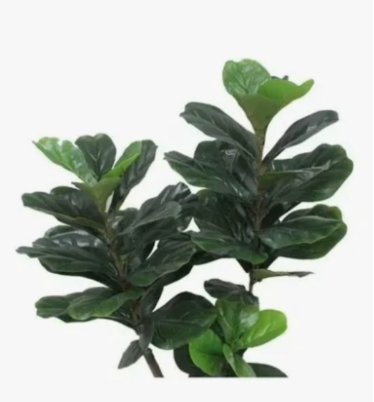 LYRATA FICUS PLANTA ARTIFICIAL - 4