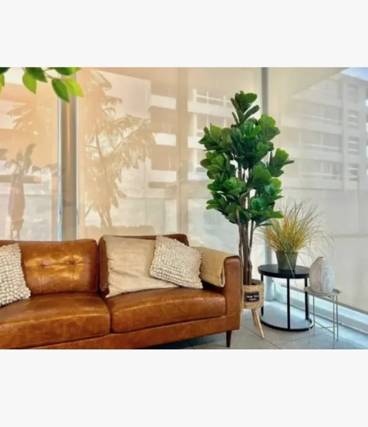 LYRATA FICUS PLANTA ARTIFICIAL - 5
