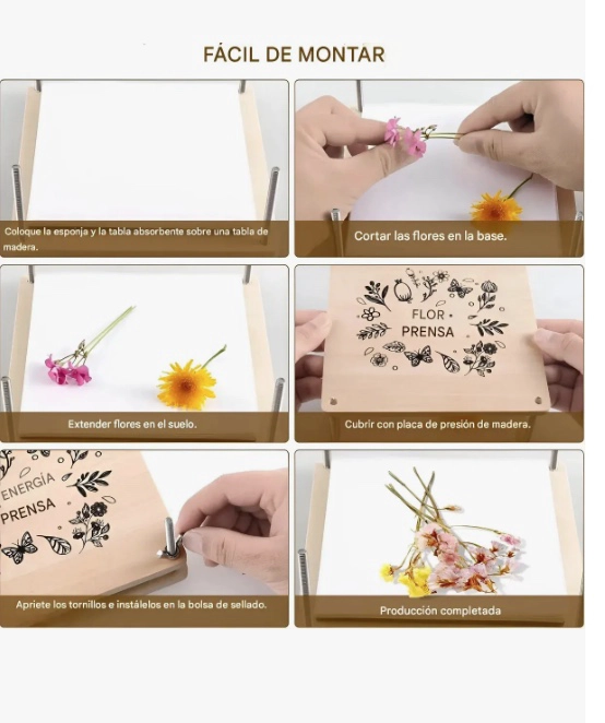 PRENSAS DE FLORES O DE PLANTAS 30X21CM - 3