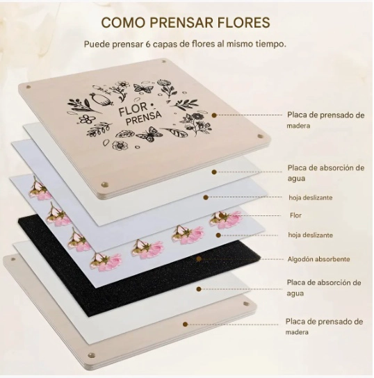PRENSAS DE FLORES O DE PLANTAS 30X21CM - 4