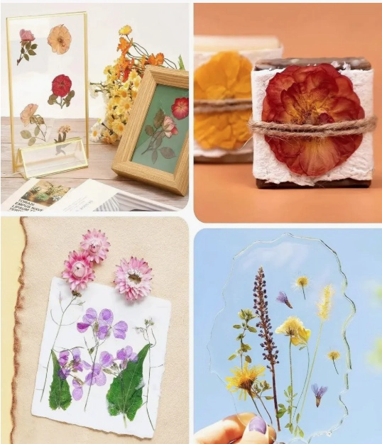PRENSAS DE FLORES O DE PLANTAS 30X21CM - 5