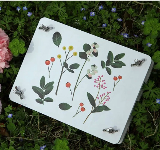 PRENSA DE FLORES O DE PLANTAS, 21*16CM - 3