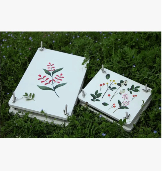 PRENSA DE FLORES O DE PLANTAS, 21*16CM - 4