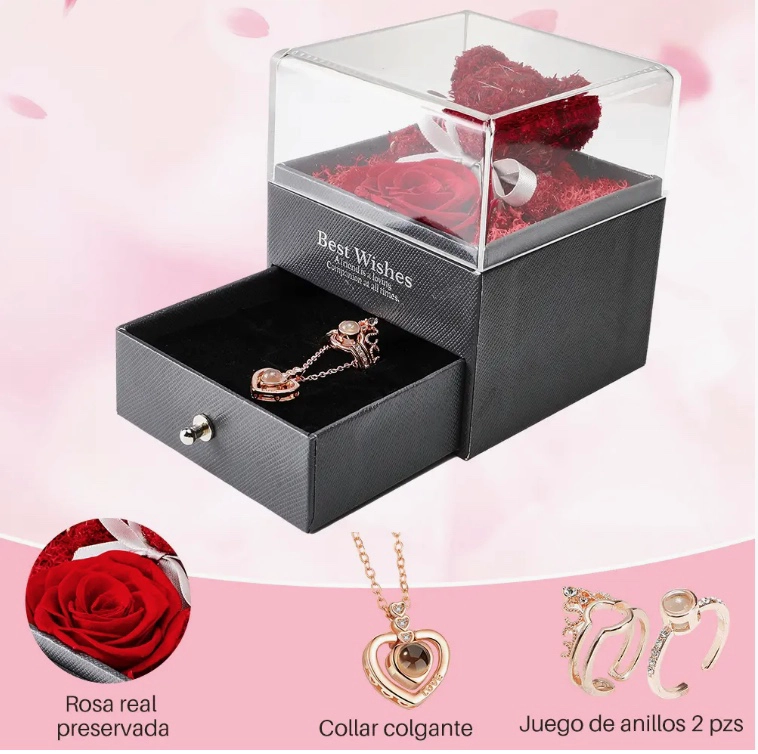 FLOR ROSA ETERNA - 3