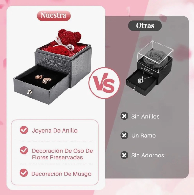 FLOR ROSA ETERNA - 5