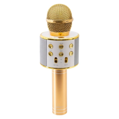 MICROFONO KARAOKE USBMICRO SD DORADO - 1