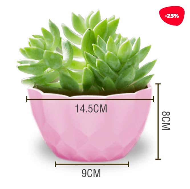 MACETERO PLASTICO TEXTURA LISO ROSADO 14.5X9X8CM - 1