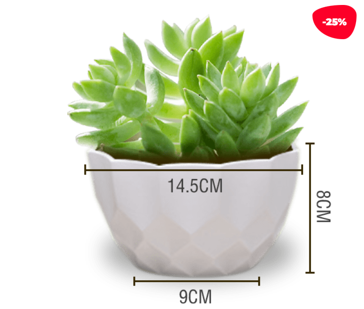 MACETERO PLASTICO TEXTURA LISO BLANCO 14.5X9X8CM - 1