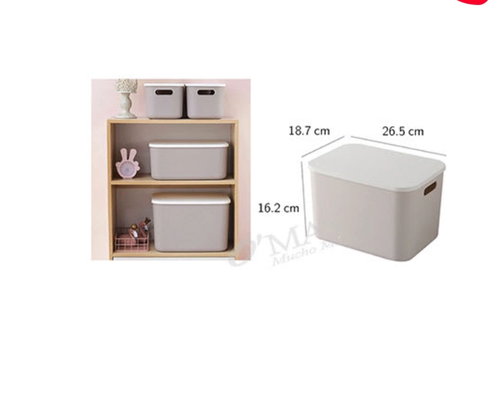 CESTA ORGANIZADORA CON TAPA PLASTICA 26.5X18.7X16.2CM - 1