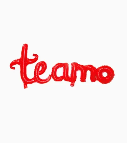GLOBOS TE AMO - 1