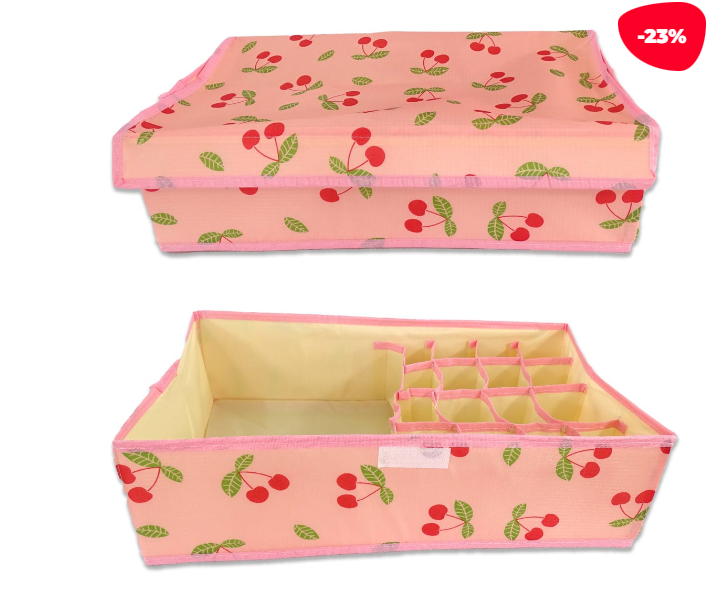 ORGANIZADOR DE ROPA INTERIOR CON CIERRE ESTAMPADO 44X29X12.5CM - 1