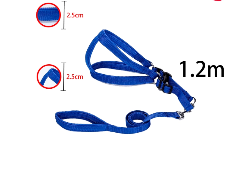 CORREA MASCOTAS LISO 1.2 M X 2.5 CM - 1