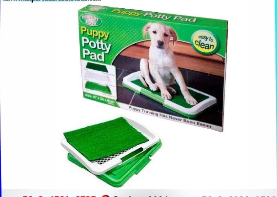 BAÑO PERROS PASTO SINTETICO PEQUEÑO - 1
