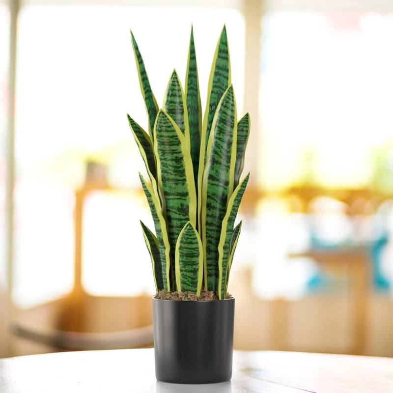 PLANTA ARTIFICIAL LENGUA DE SUEGRA PLANTA SANSEVIERIA FLORES - 2