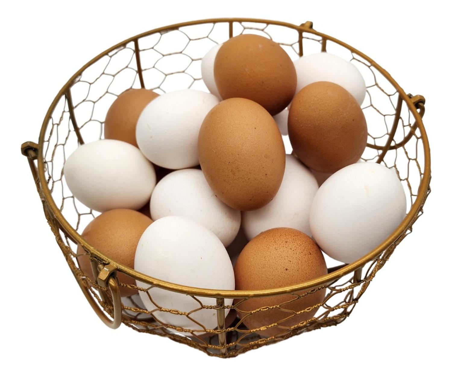 GALLINA DECORATIVA PORTA HUEVOS CESTA DE HUEVOS BLANCA - 7