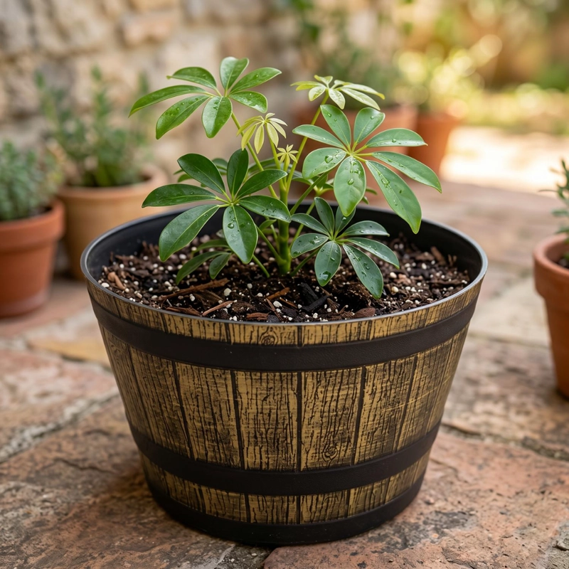 MACETERO PLASTICO DISEÑO EFECTO BARRIL DE MADERA MACETA S - 3