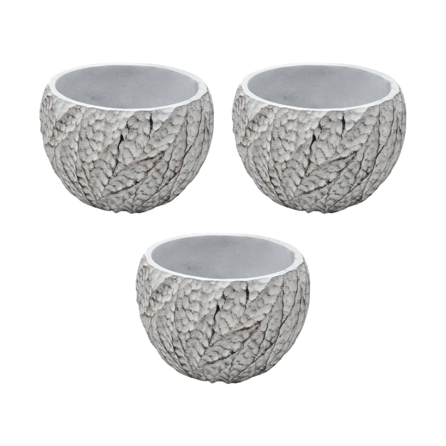 SET 3 MACETERO MACETA ACABADO CEMENTO RELIEVE HOJAS BLANCO S - 1