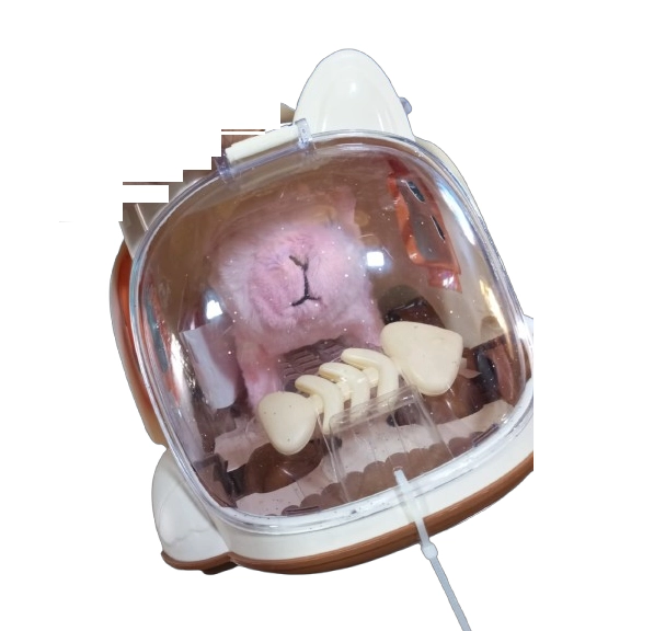 JUGUETE PELUCHE CAMINA MOVIMIENTO CON RUEDA + PILAS - 1