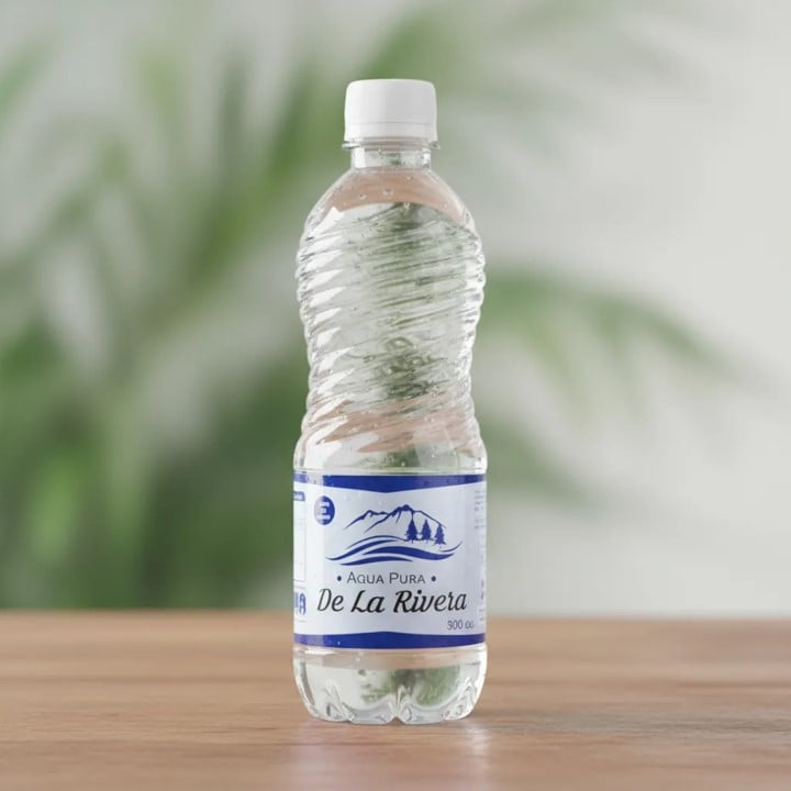 AGUA PURIFICADA BOTELLA 500 CC - 2