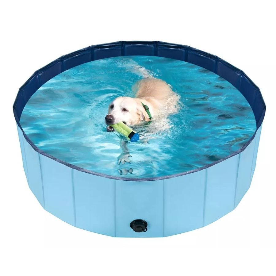 PISCINA ANGELES DEL HOGAR PLEGABLE PARA PERROS MASCOTAS VERANO 80X20 CM - 4