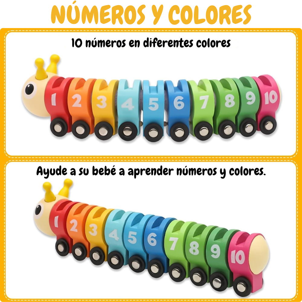 JUGUETE EDUCATIVO MONTESSORI - ORUGA DE TRANSITO - 2