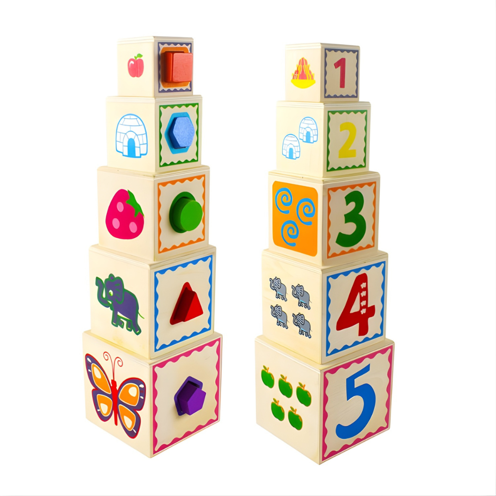 CAJA DE ENCAJE 5 PIEZAS EDUCATIVA MONTESSORI - 3