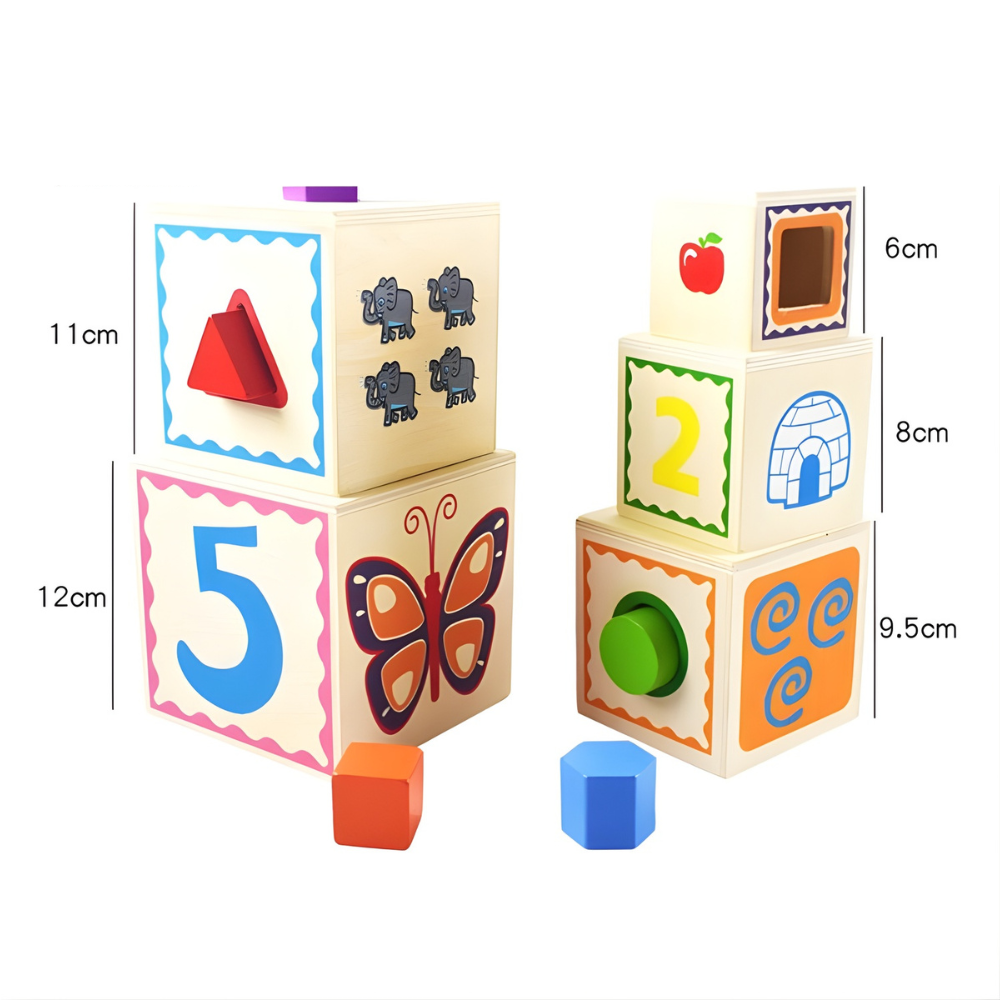 CAJA DE ENCAJE 5 PIEZAS EDUCATIVA MONTESSORI - 5